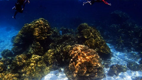 KOH ROK