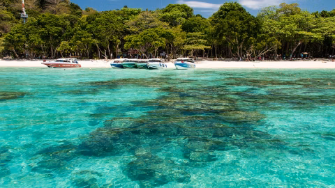 KOH ROK